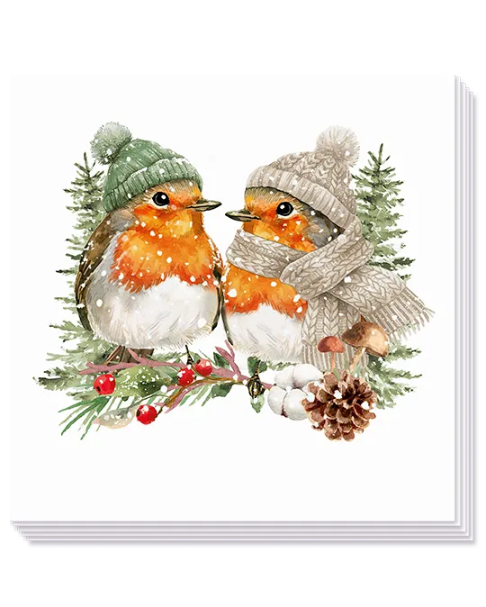 napkin `warmly dressed robins'