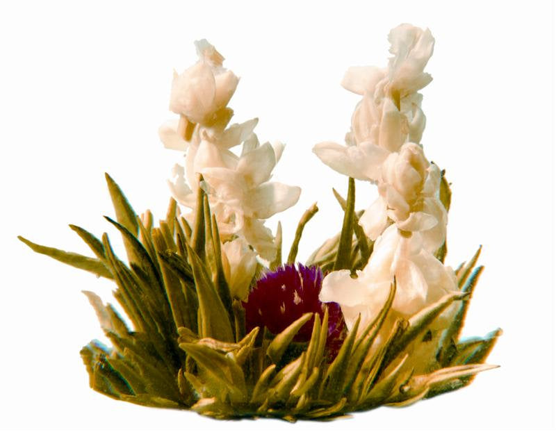 Blooming Tea, True Love (bag of 12)