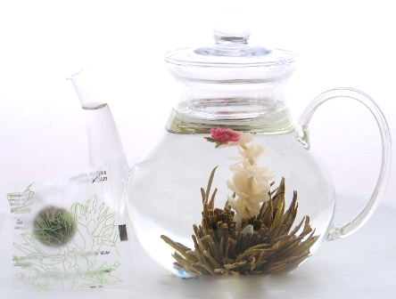 Blooming Tea, Morning Glory (bag of 12)