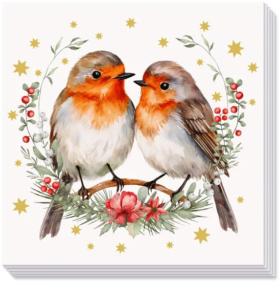 napkin `robin love'