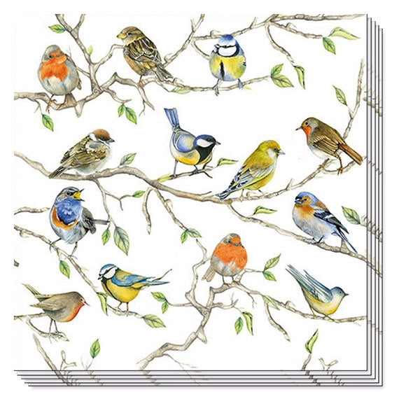 napkin 'birds meeting'