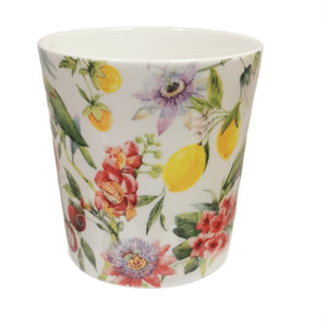 mug dandy, tropical green parrot