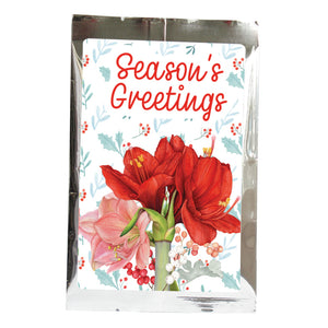 amaryllis | seasons greetings