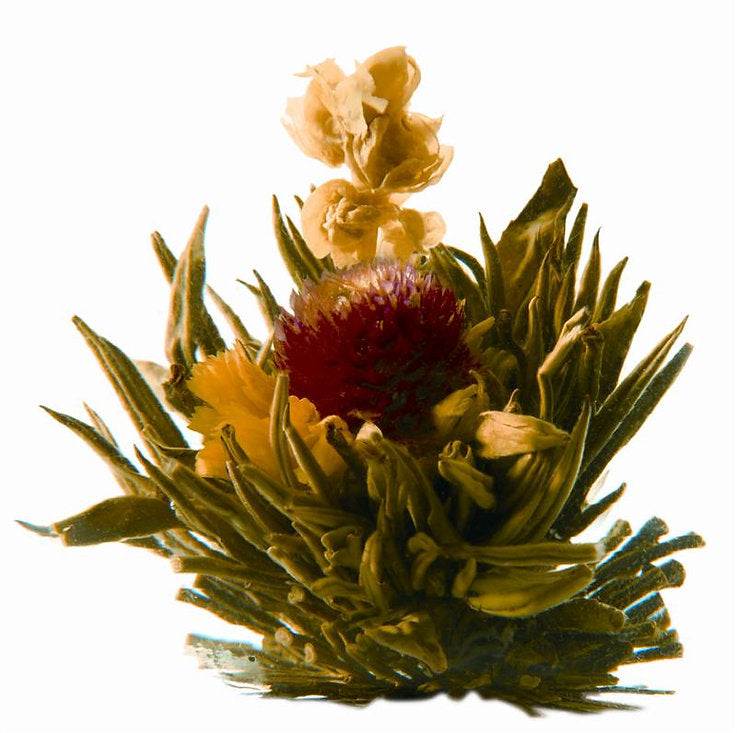 Blooming Tea, Jasmine Sanctuary (bag of 12)