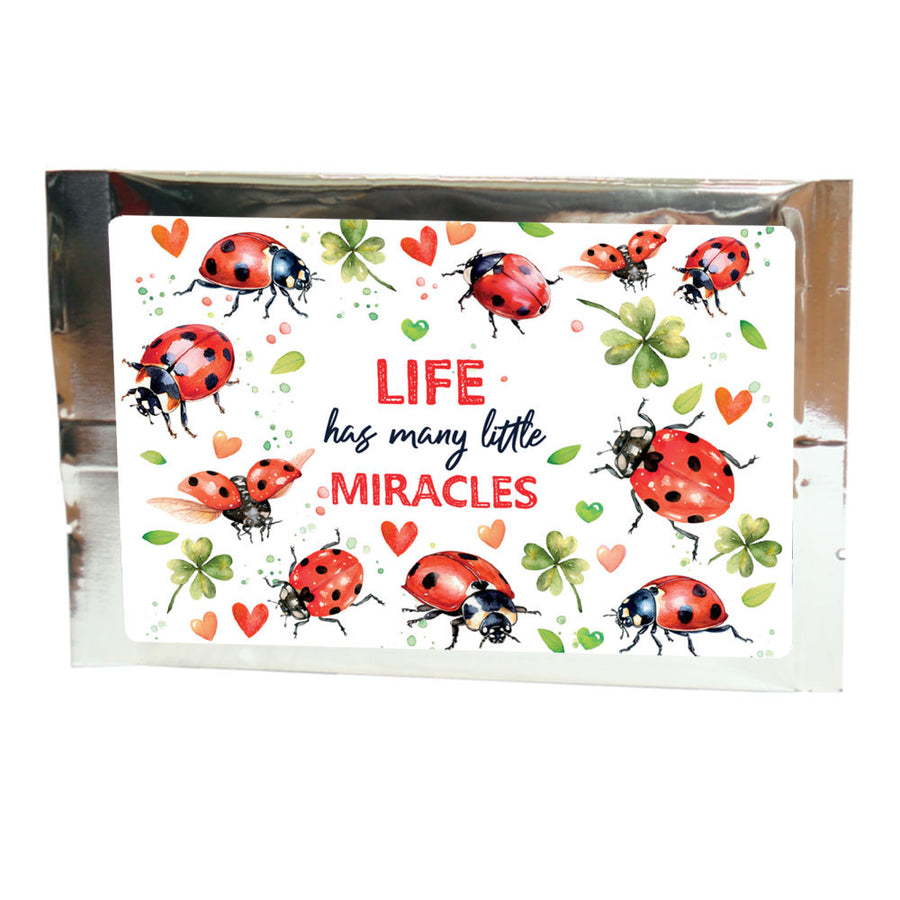 ladybug flight, life has many little miracles